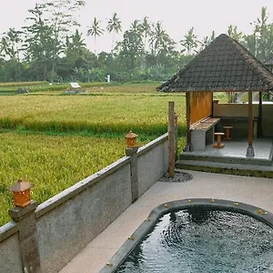 Santosha & Ubud (Bali)